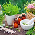 Best Homeopathic Services in Muzaffarnagar || Skin Doctor in Muzaffarnagar