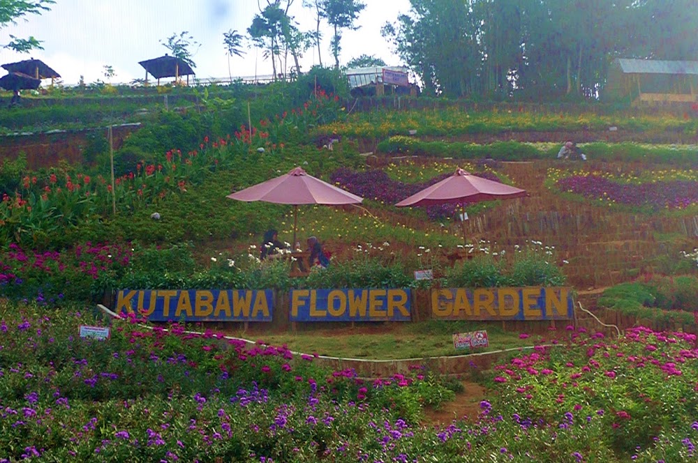 [CoC Regional Lokasi Wisata] Nyasar, Sampai Kutabawa Flower Garden