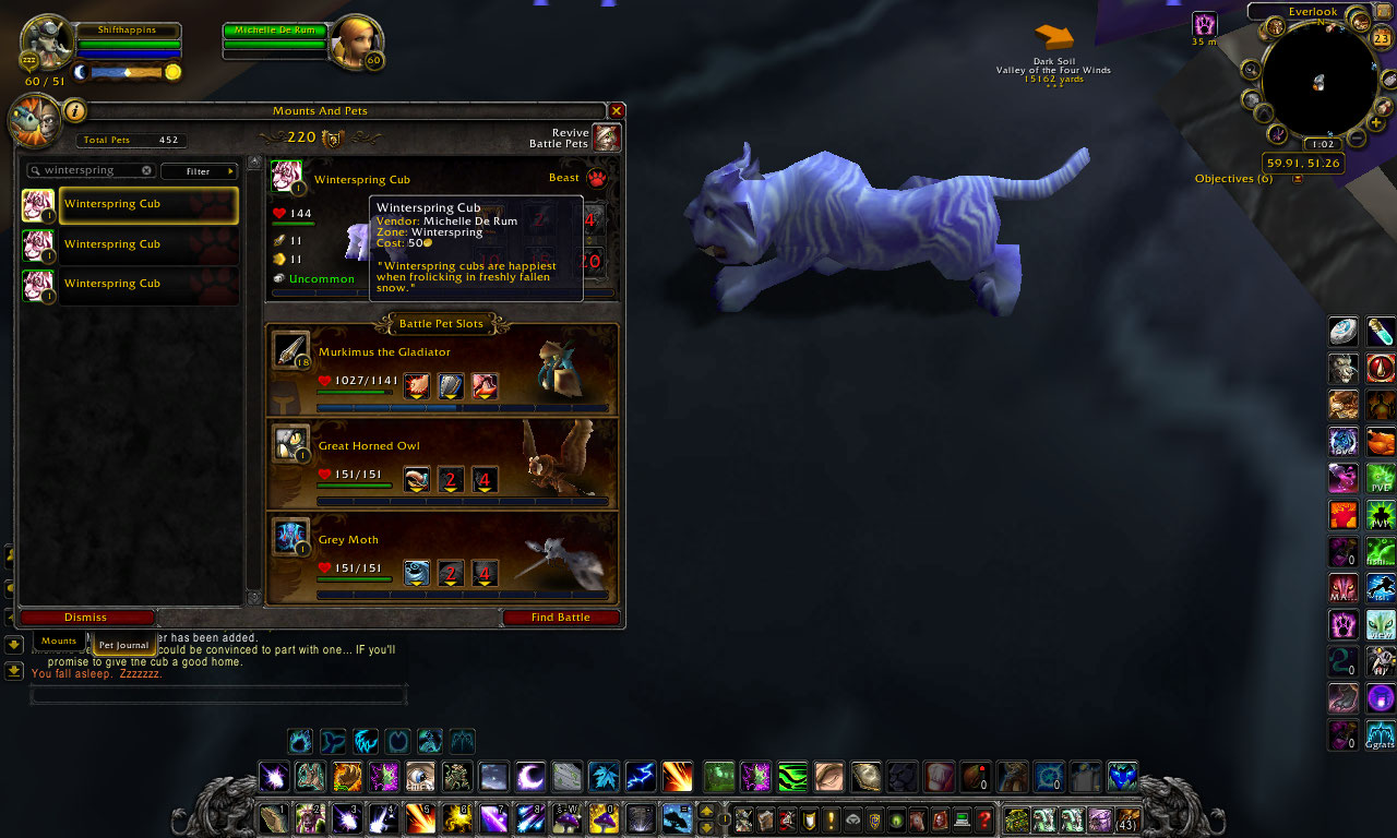 WOW Companion Collector: Winterspring Cub (uncommon lvl 1)