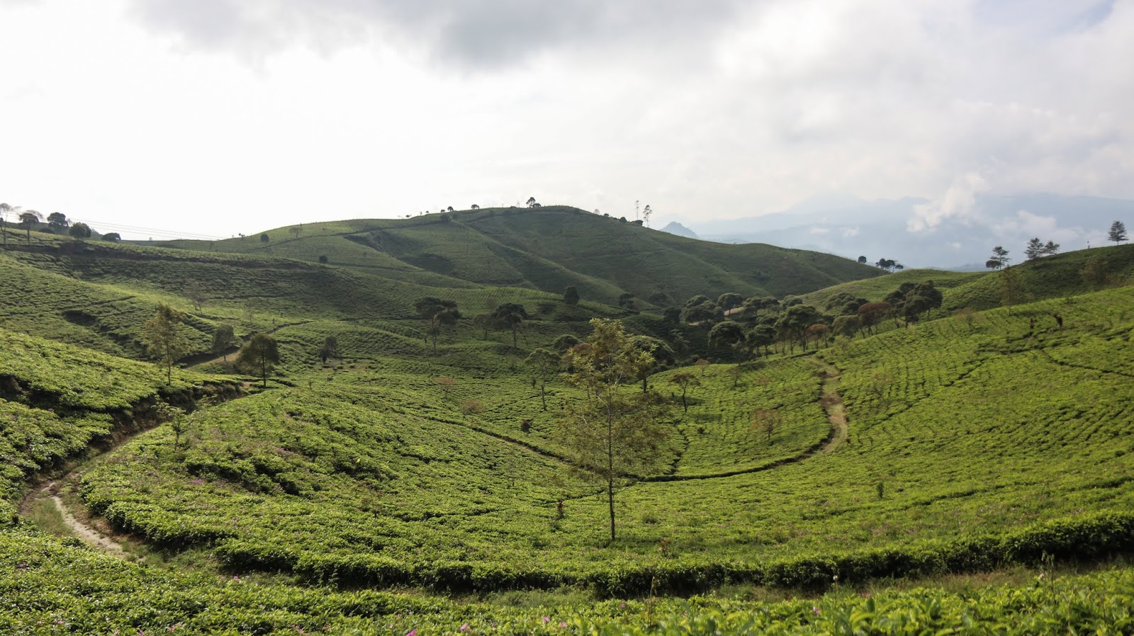 Jelajah Cianjur Selatan, Garut Selatan dan Bandung Selatan ...