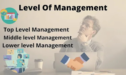 Level Of Management and Their Functions | Top, Middle, Lower Level Management