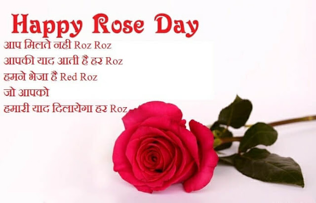 rose day shayari, rose day shayari in hindi, rose day shayari hindi, shayari on rose day, rose day shayari love, rose day shayari with images, rose day shayari image, rose day shayari photo, rose day shayari in english, rose day ke liye shayari, rose day shayari images download, rose day shayari for boyfriend, rose day shayari pic, rose day shayari marathi, rose day shayari download, rose day ke upar shayari, rose day wishes shayari, happy rose day shayari image download, rose day shayari english, rose day shayari image in hindi, shayari on rose day in hindi, best shayari for rose day, rose day shayari in marathi, rose day shayari hindi 140, happy rose day shayari english