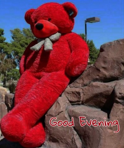 Good evening Images | Best 25+ Good evening Images Good evening Images | Best 25+ Good evening Images