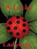 A Lucky Ladybug