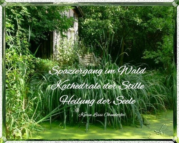 Karin Lissis Gedichteblog Spaziergang