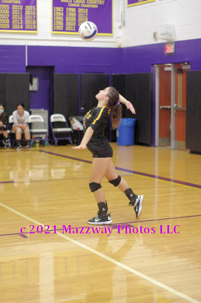 Bogota Blog NJ Bogota Volleyball