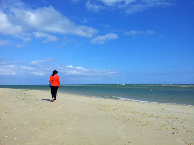 playa+de+armona+en+olhao