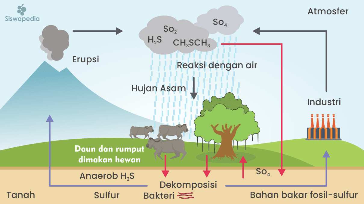 Gambar menggambarkan proses penguapan dalam siklus airhidrologi