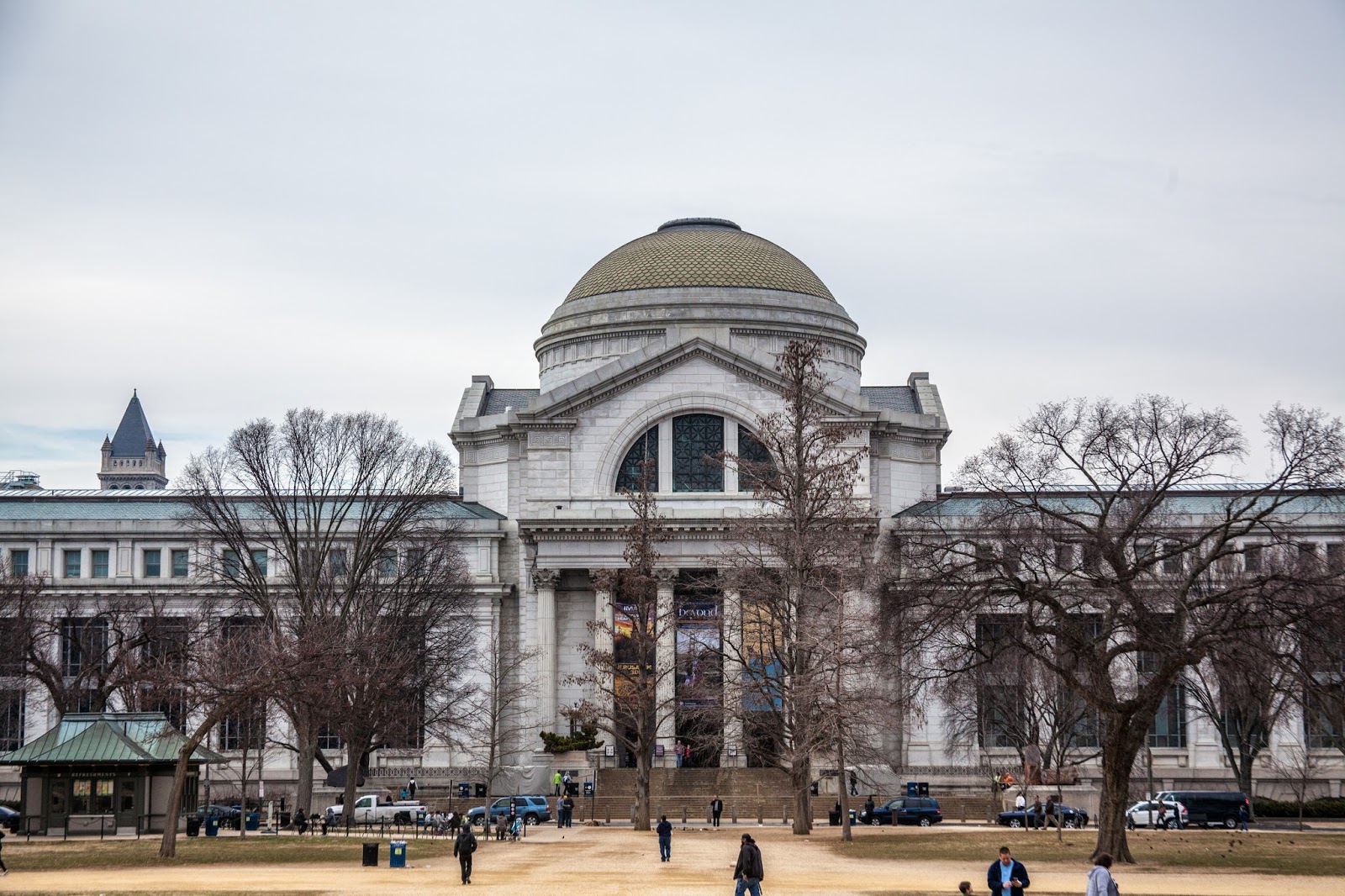 FUN FACTS ABOUT THE SMITHSONIAN MUSEUM OF NATURAL HISTORY visual data 5