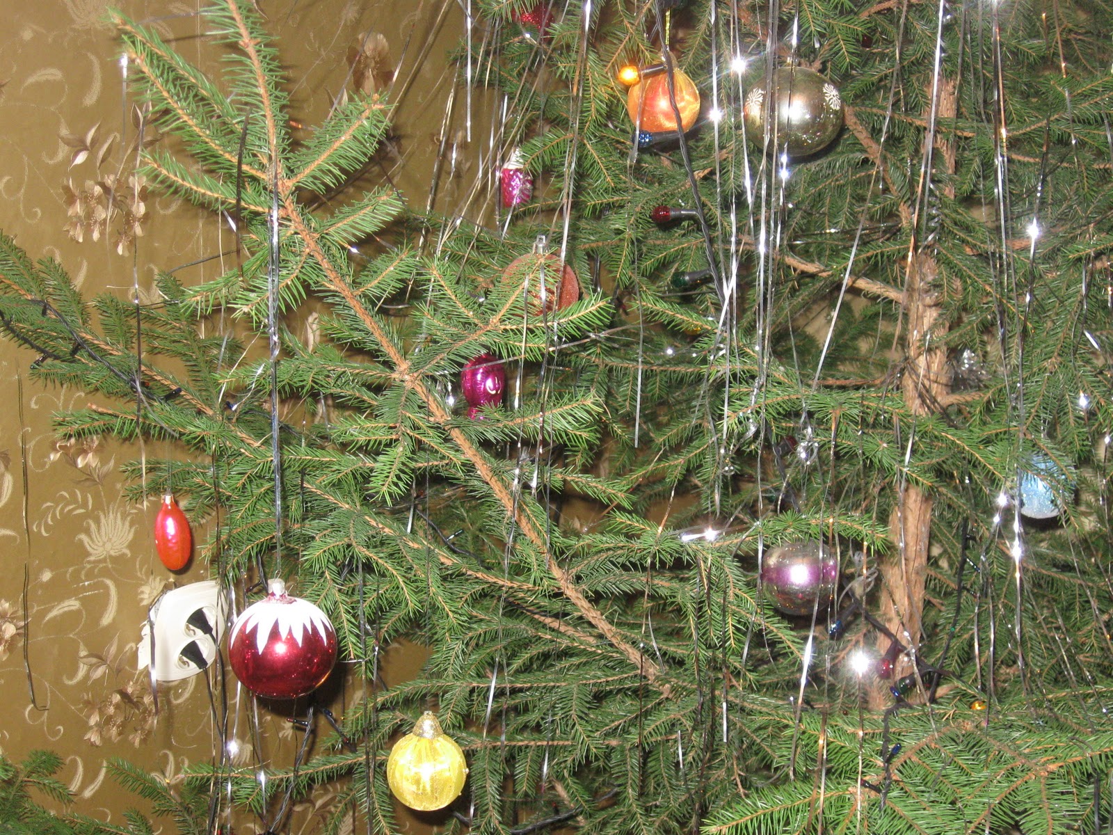 убираем елку после нового года. убираем елку. кот мостик новый год. когда можно разряжать елку после нового года. разряжаем елку.