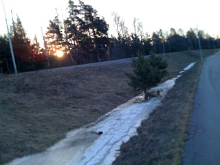 morgonpromenad%2B25%2Bmars%2B003 - Dagens vardagsmotion