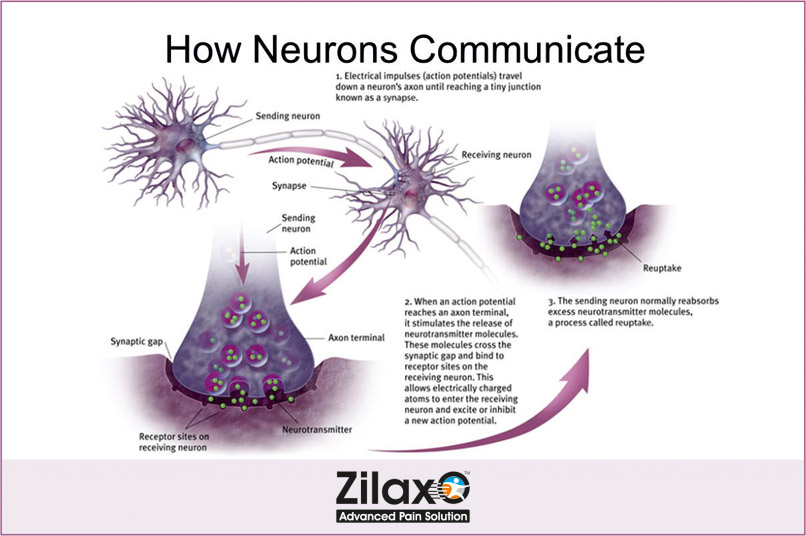 Zilaxo Advanced Pain Solution Benefits of adding zinc in your diet.