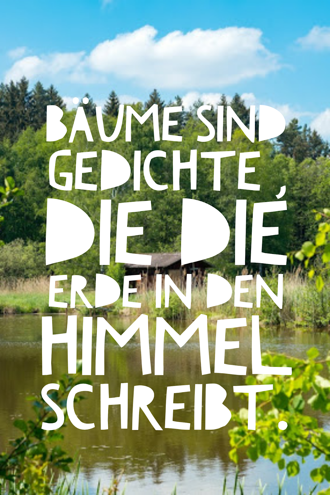 Hesse bäume hermann zitate
