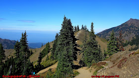 High Ridge Trail Mount Angeles