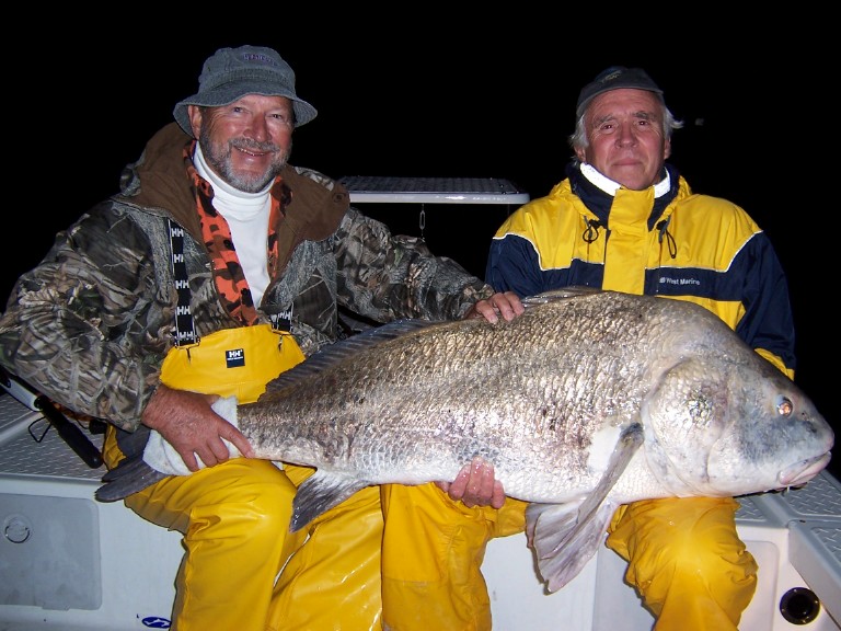 Big Fishes of the World DRUM BLACK (Pogonias cromis)
