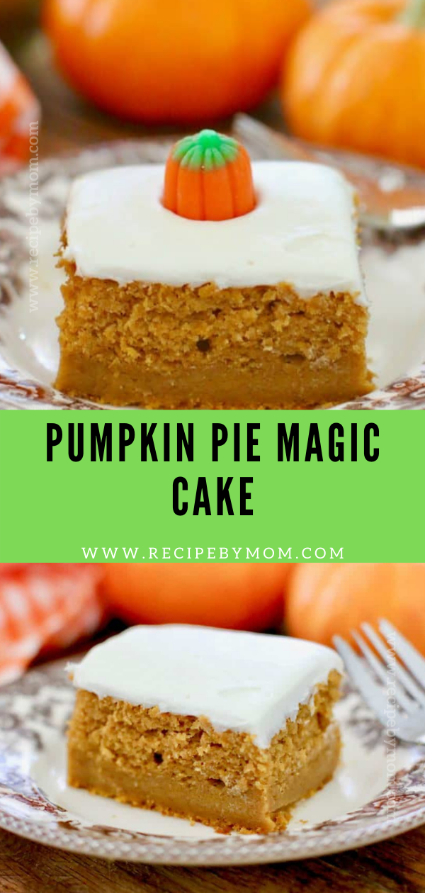 PUMPKIN PIE MAGIC CAKE - Kangmusofficial.com