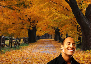 Dwayne Johnson Wallpapers and posters. Movie actor The Rock smiles and keeps smiling while you work in classic Autumn Trees Background for the fans