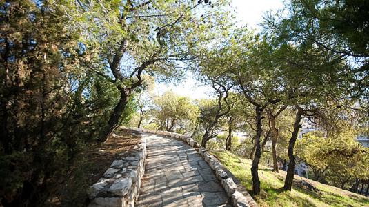Εικόνες πλήρους εγκατάλειψης στο λόφο του Στρέφη