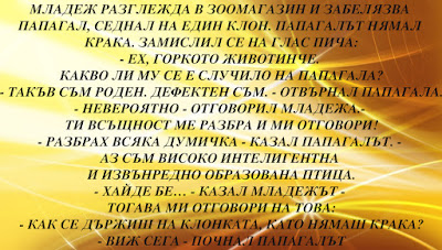 Младеж разглежда в зоомагазин Младеж разглежда в зоомагазин