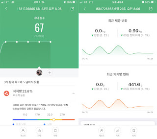 보조 식품 추가 후기 남성 다이어트