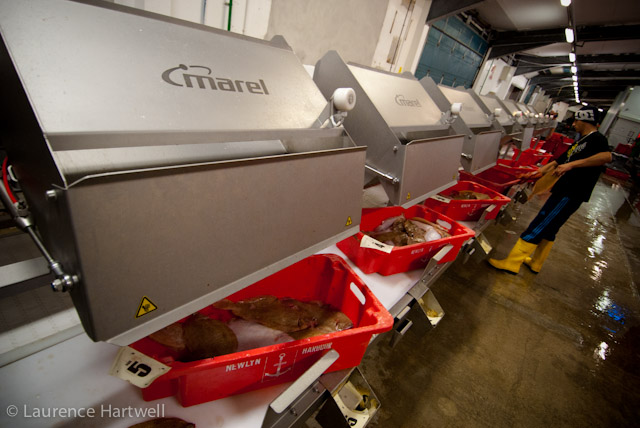 Through the Gaps! - Newlyn Fishing News: The feasibility of automated ...