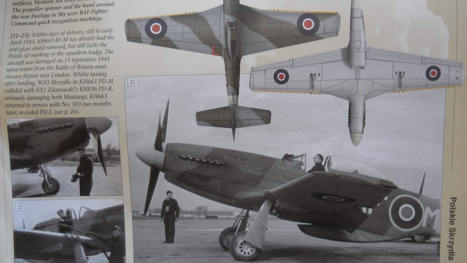 Scale Model Kit Review Blog (SMKR): MMP Books Polish Wings 23 - 303 ...