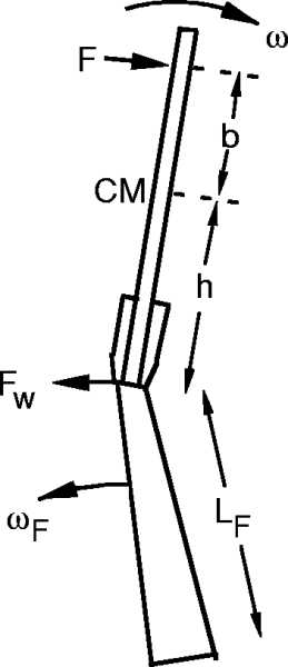 Figure8.jpg
