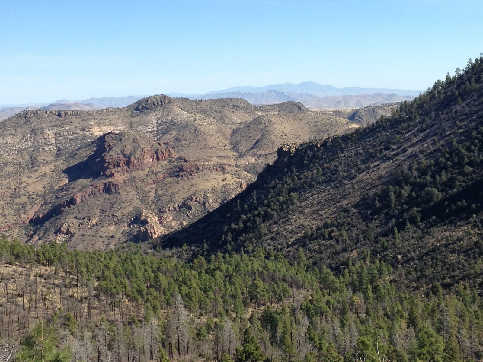 Southern New Mexico Explorer East Curtis Spring Aldo Leopold Wilderness