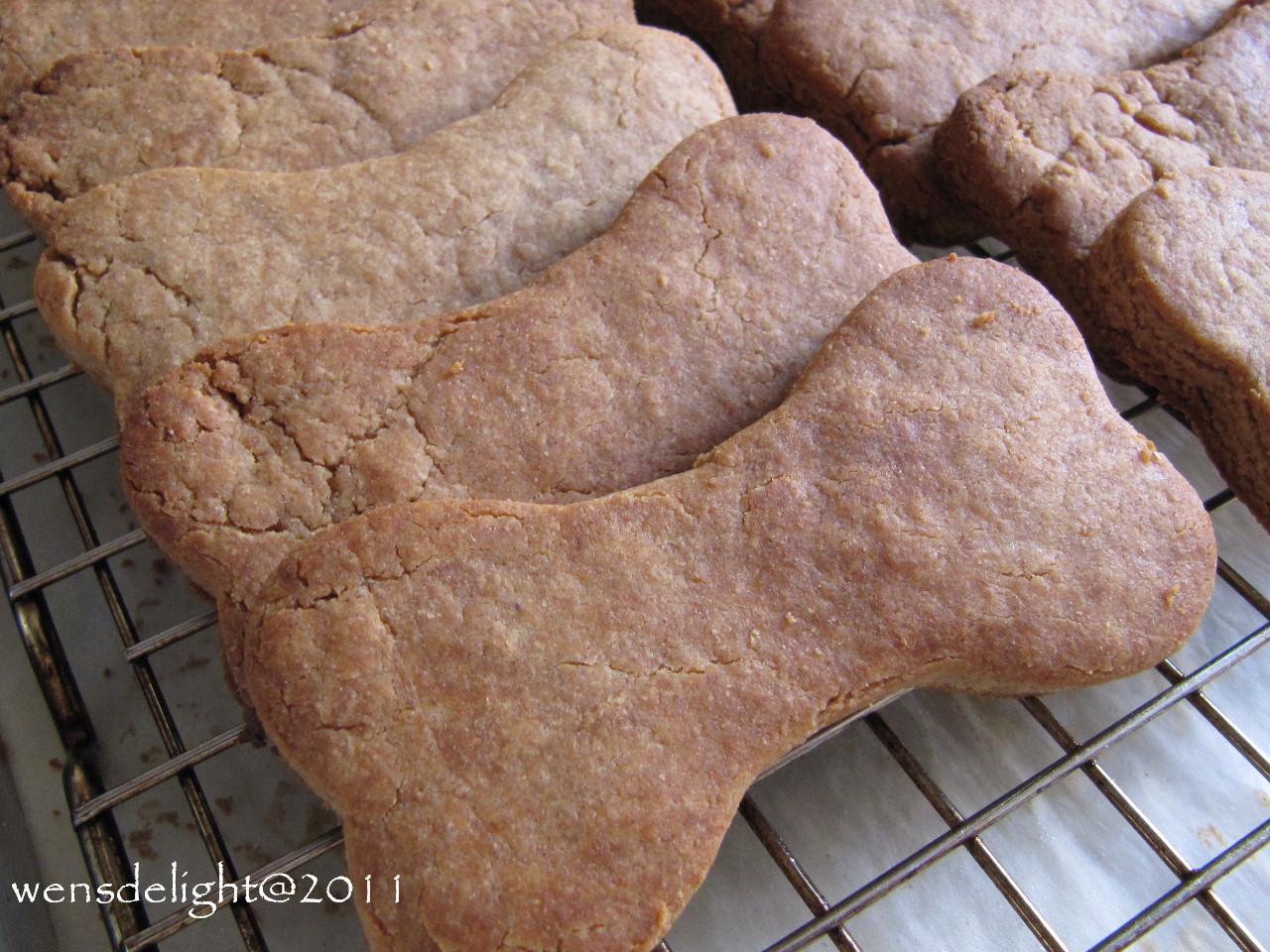 My adorable shih tzus Peanut Butter & Honey Dog Bone Cookies