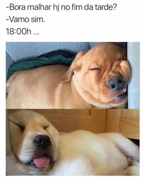 malhar.png (614×757)