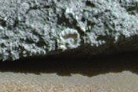 mars fossil