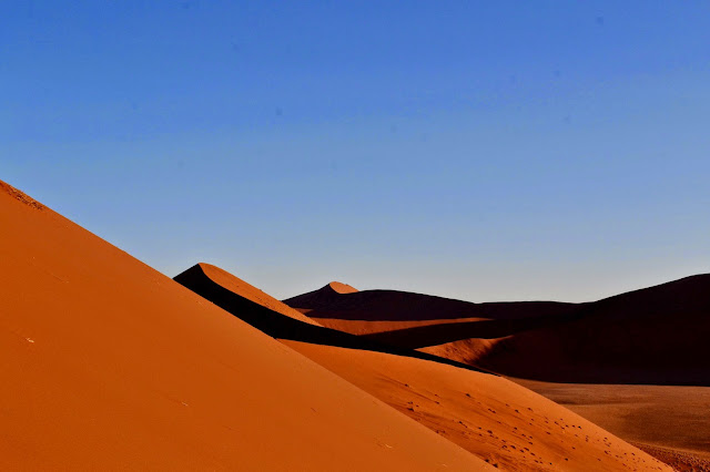 View from the top of Dune 45, Sossusvlei