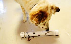 DIY-dog-treat-dispenser