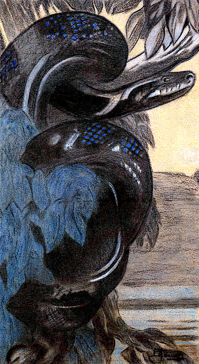 Paul Jouve Paul Jouve, a big blue snake in profile view
