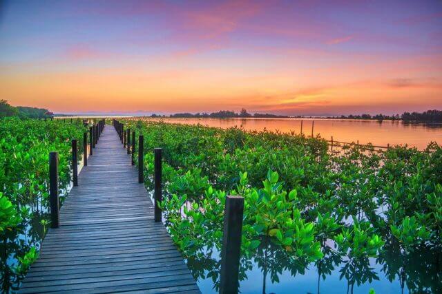 Explore the Beauty of Bunaken Marine Park