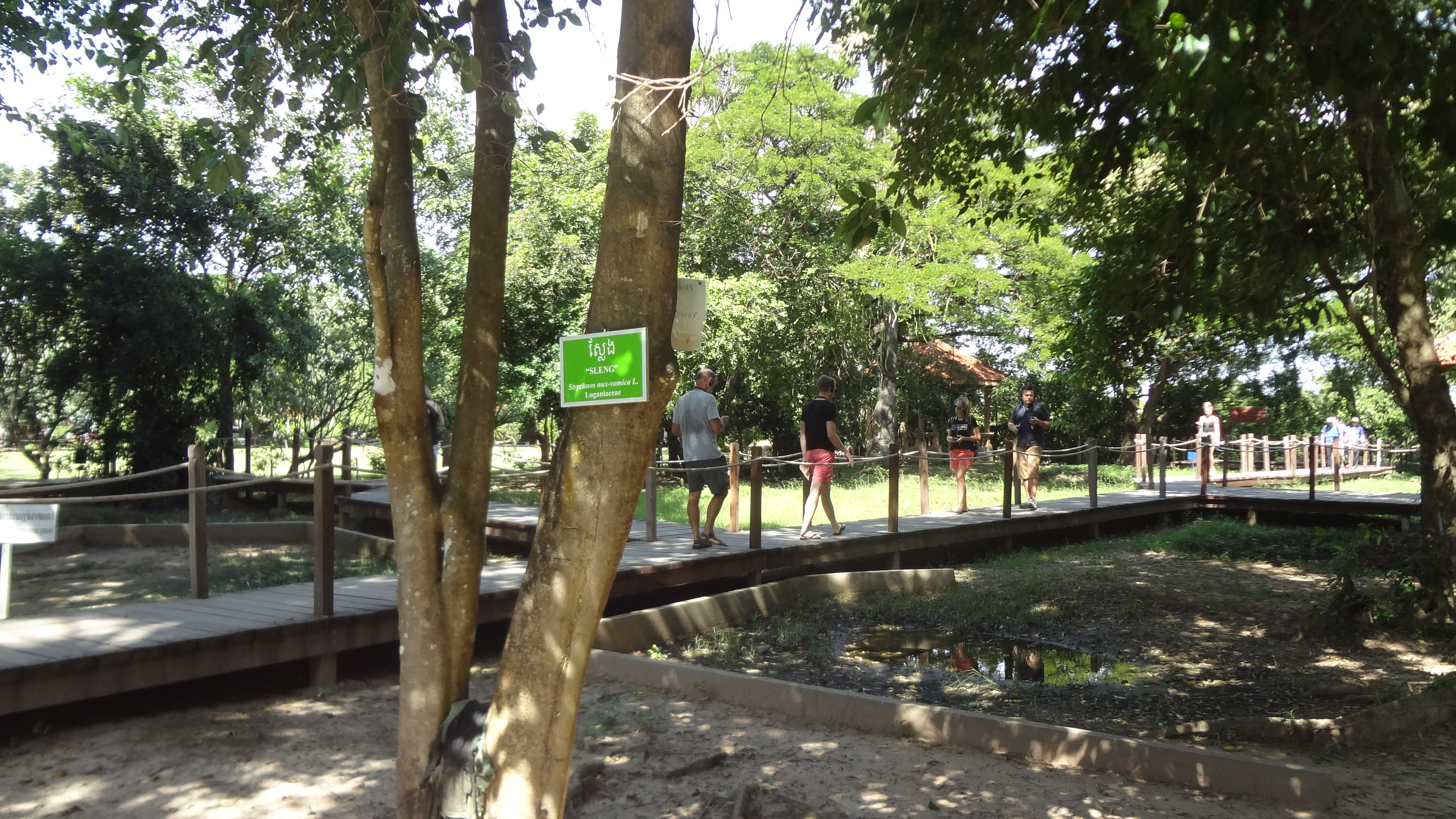 killing field pits