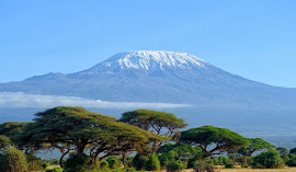 KILIMANJARO 19.