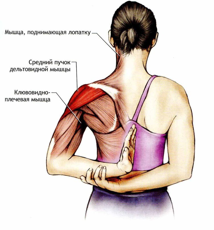 Болят мышцы черепа сзади