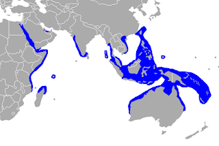 Dugong dağılım haritası