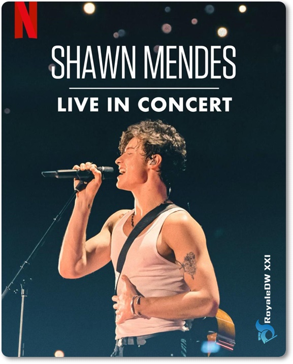 SHAWN MENDES: LIVE IN CONCERT (2020)