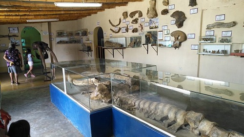 museo elba aranda