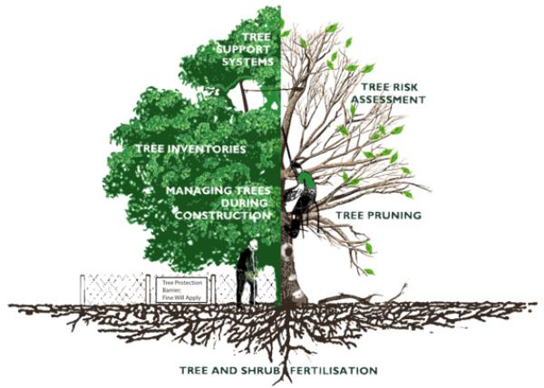 Arboriculture Studies: