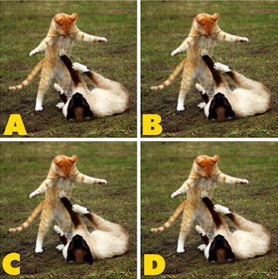 Which image is different? image 40