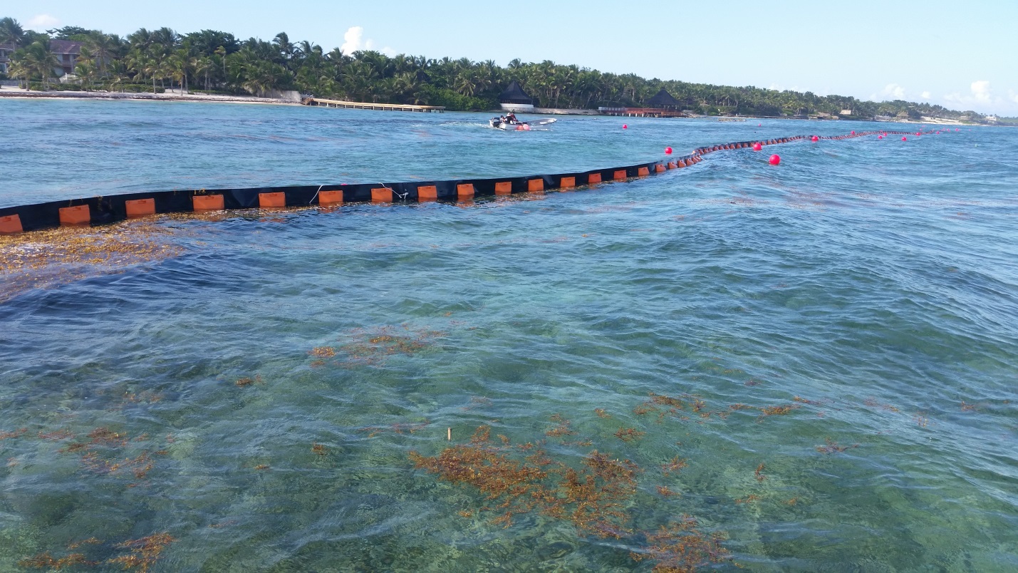 GEI Works Blog The Massive Sargassum Seaweed Bloom of 2018 What It