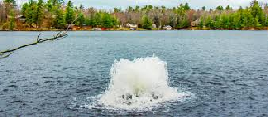 Revival of Small Rivers Revival+of+Small+Rivers