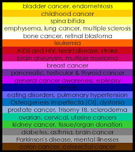 Awareness Ribbon Colors...