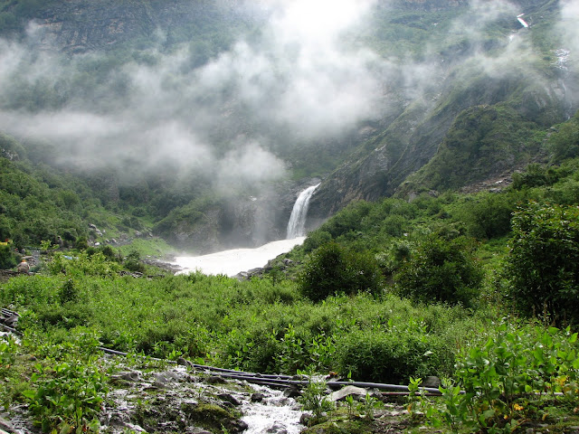 Valley of flowers in the Garhwal Himalayasin Uttarakhand