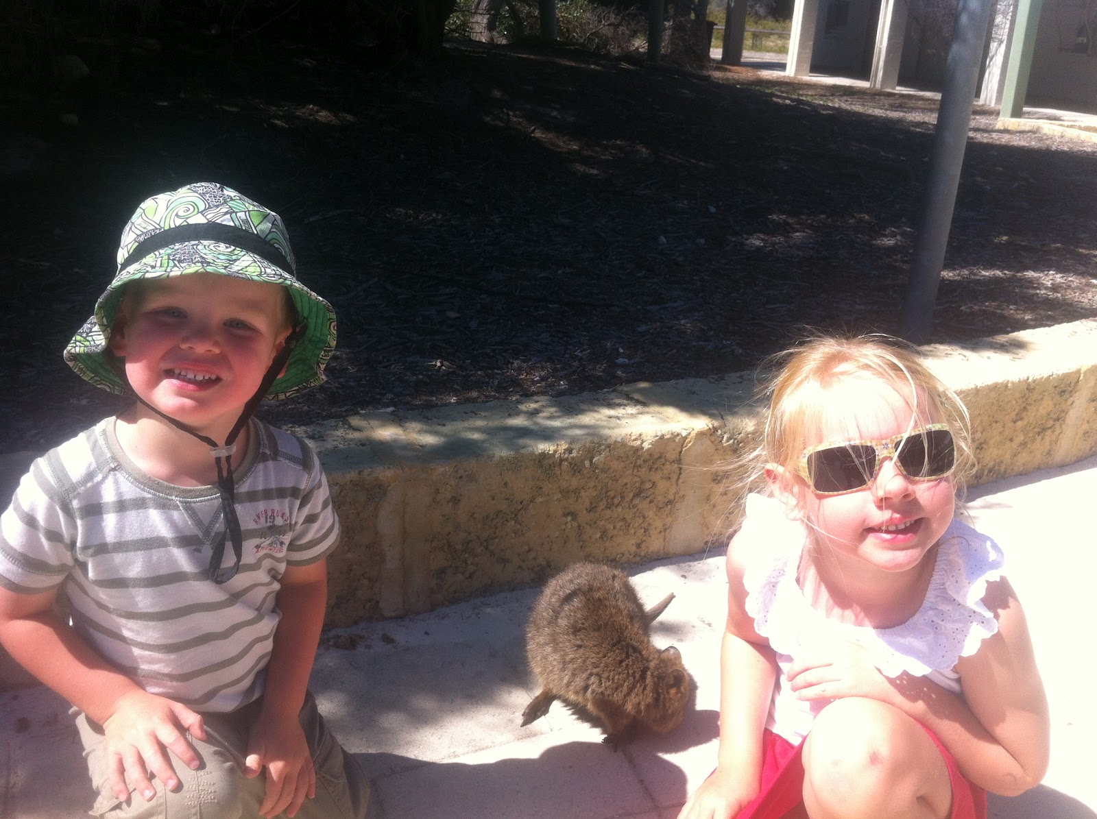 The Wise's Australian Adventure: Perth, Rottnest and the little quokkas