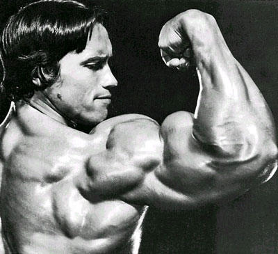 Arnold Schwarzenegger Young | Hollywood & Bollywood Celebrity