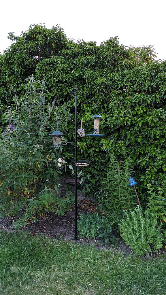 Sternensinn Garten Und Mehr